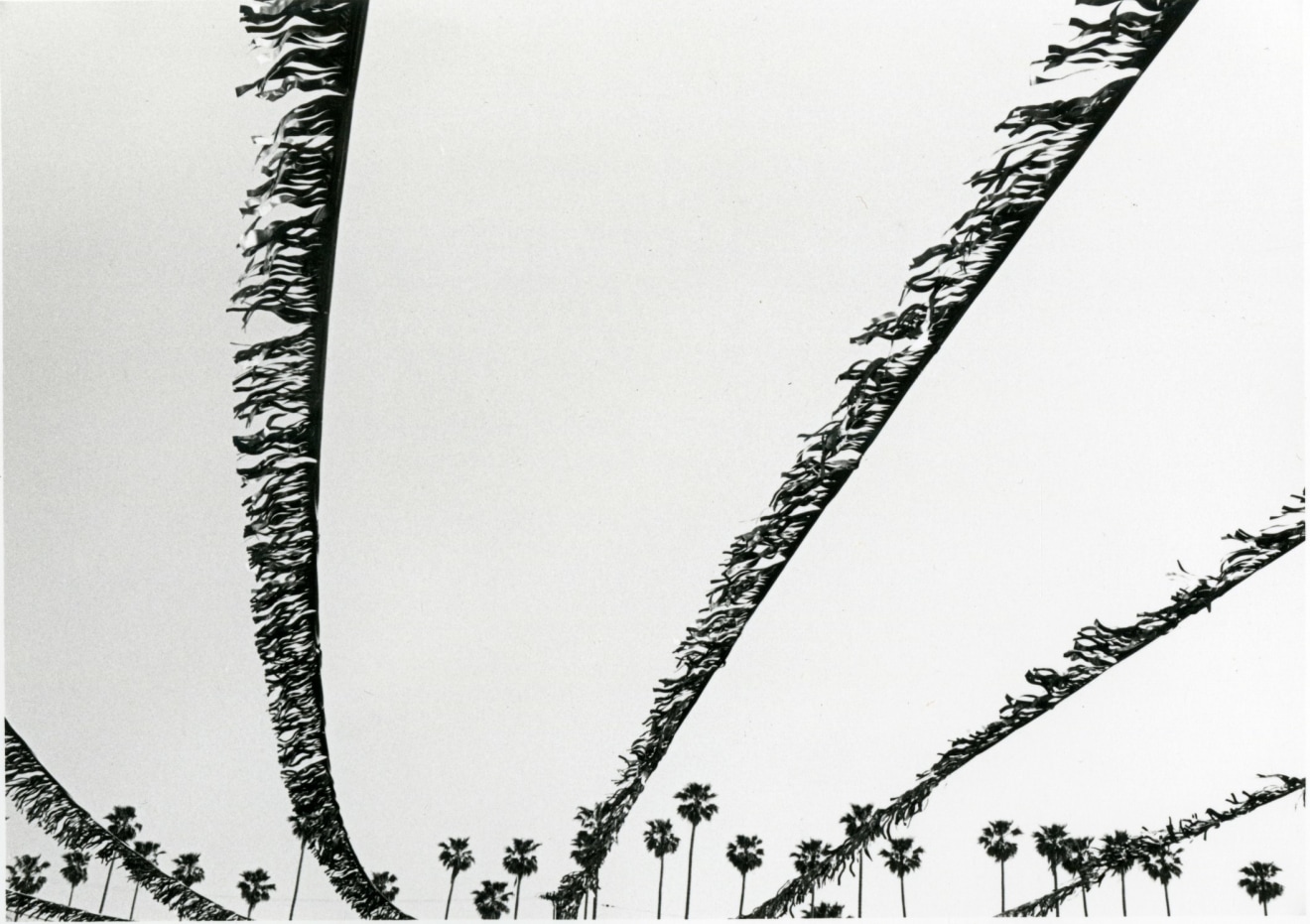 untitled (from the Los Angeles series), 1971&nbsp;