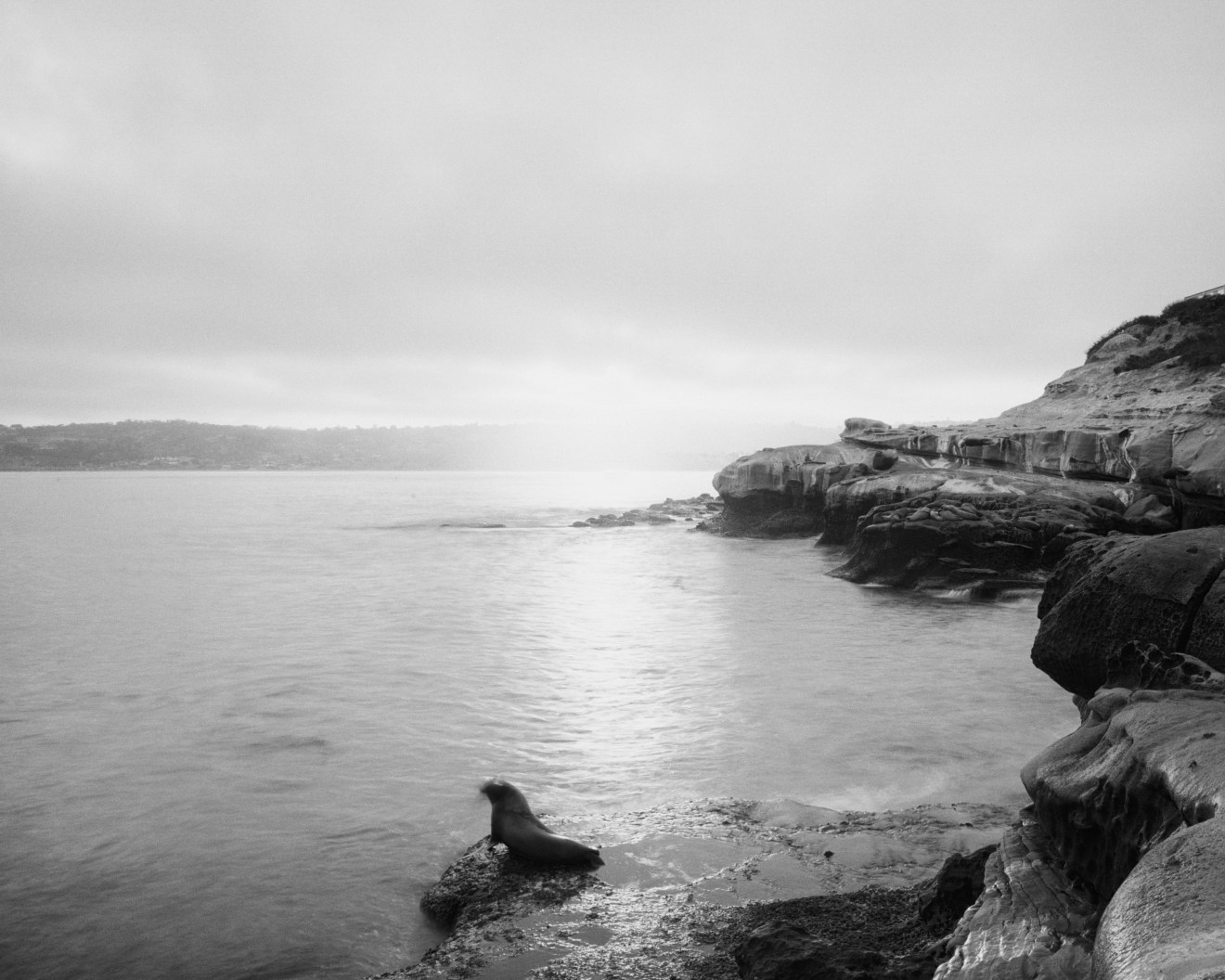 La Jolla Cove Matlajuayal State Marine Reserve, 2014