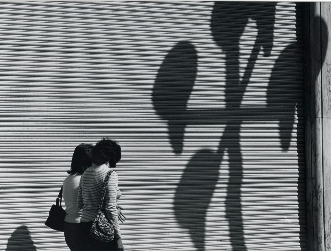 Dos Mujeres y la Gran Cortina con Sombras / Two Woman, a Large Blind, and Shadows, 1977