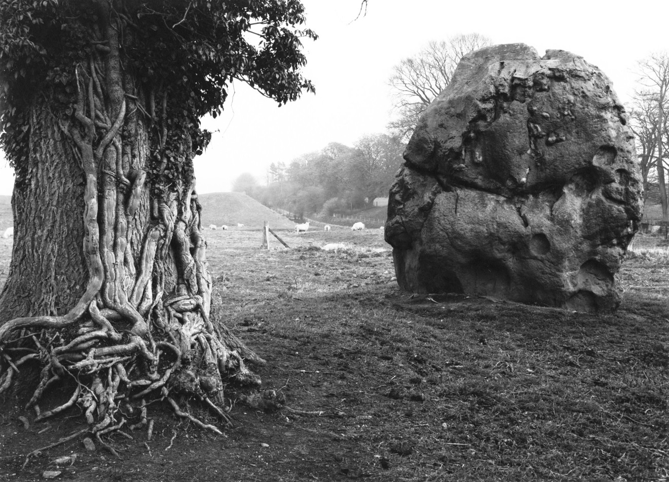 Stone &amp;amp; Tree, Avebury, England, 1967