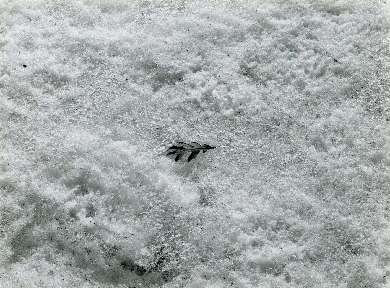 Harry Callahan, Detroit&nbsp;