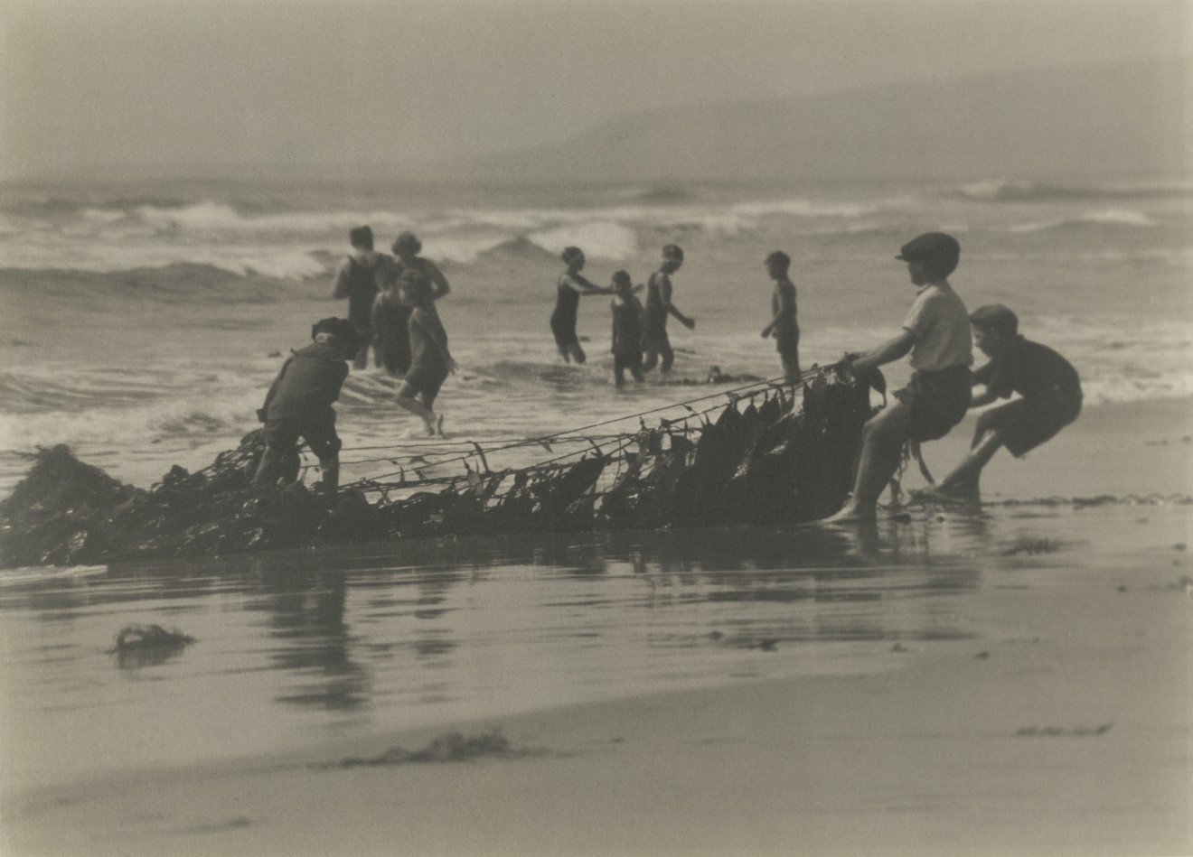 Roland E. Schneider, Kelp, c. 1929