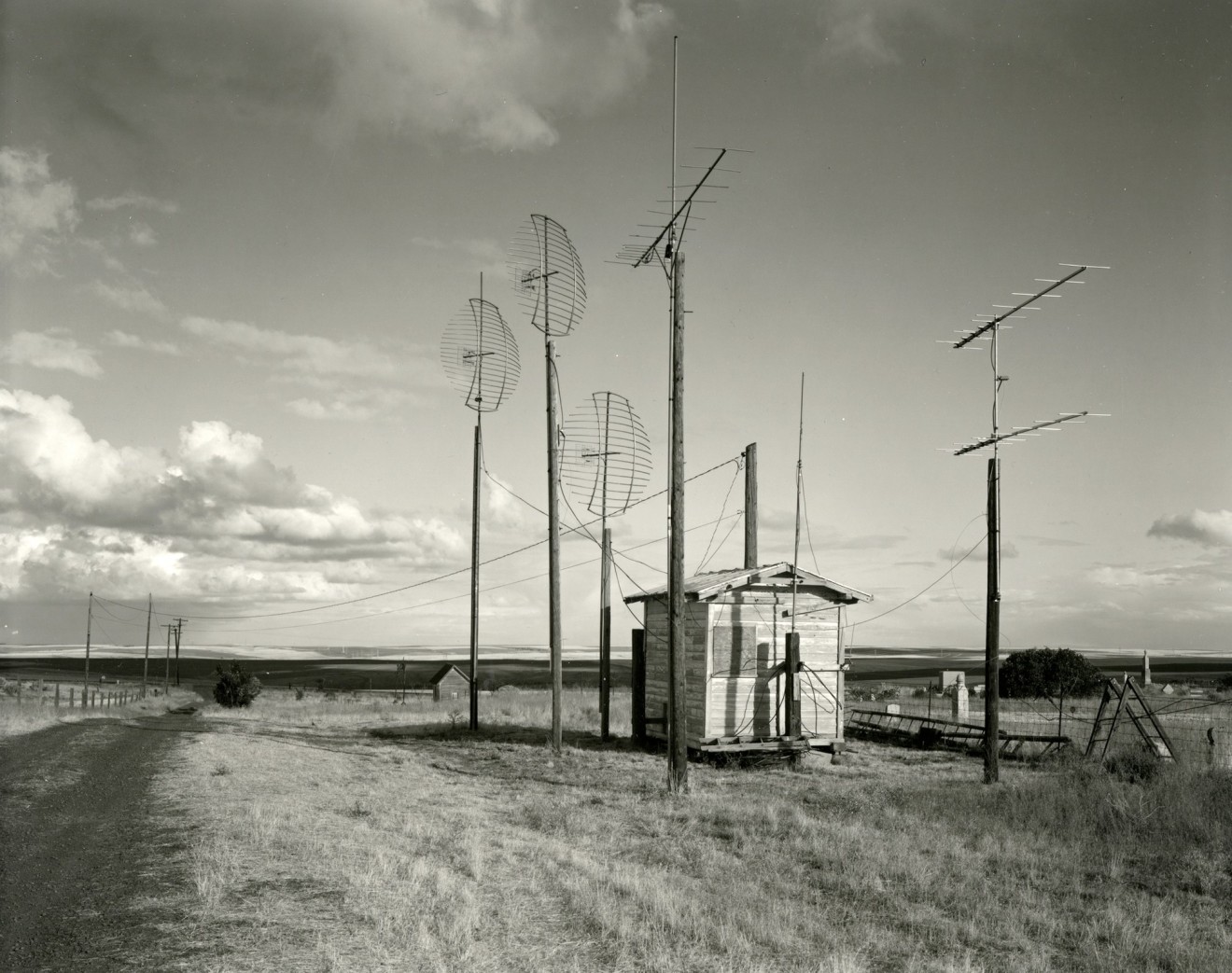 Near Grass Valley, Oregon, 1981