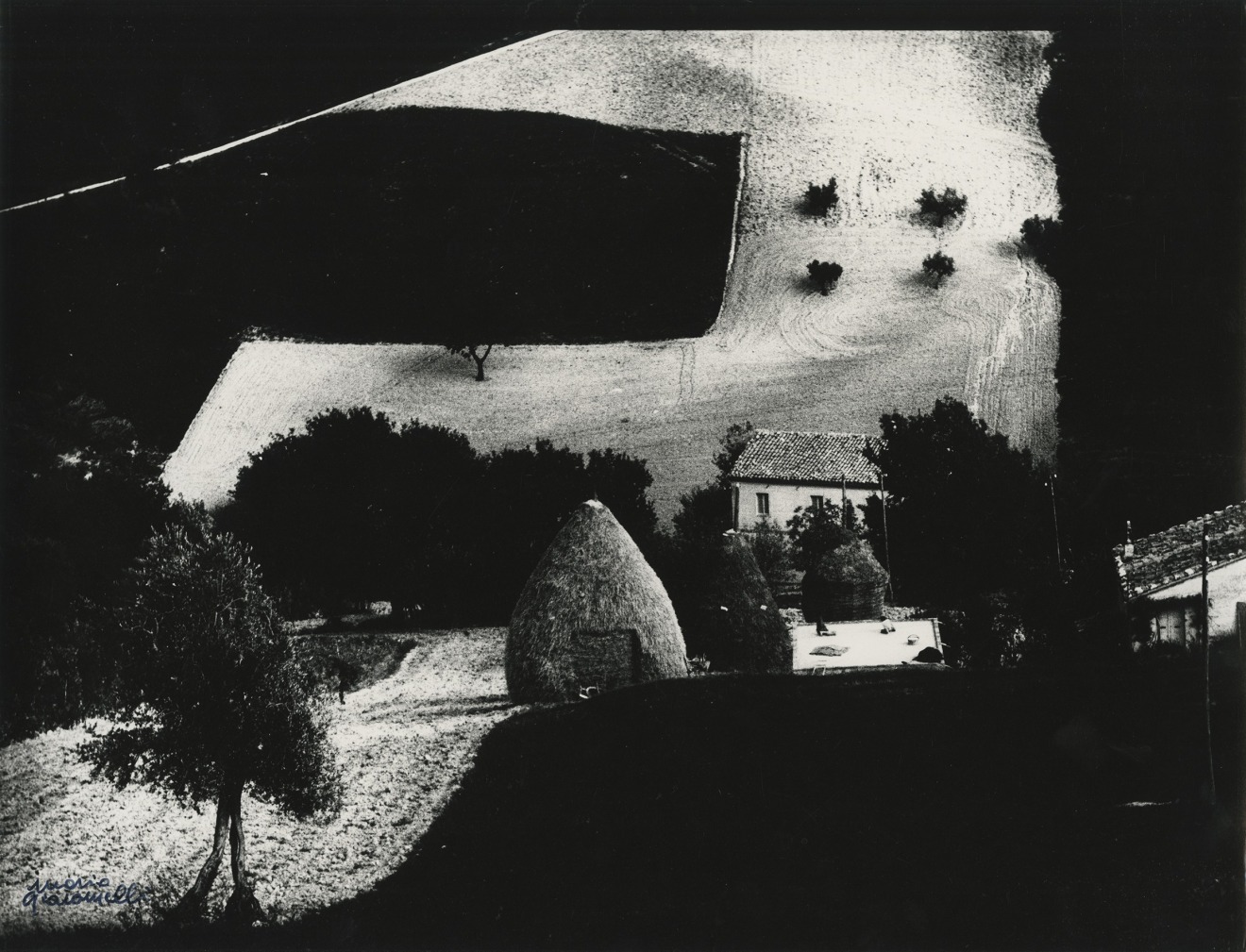 Metamorphosis of the Land/Metamorfosi della terra, 1971