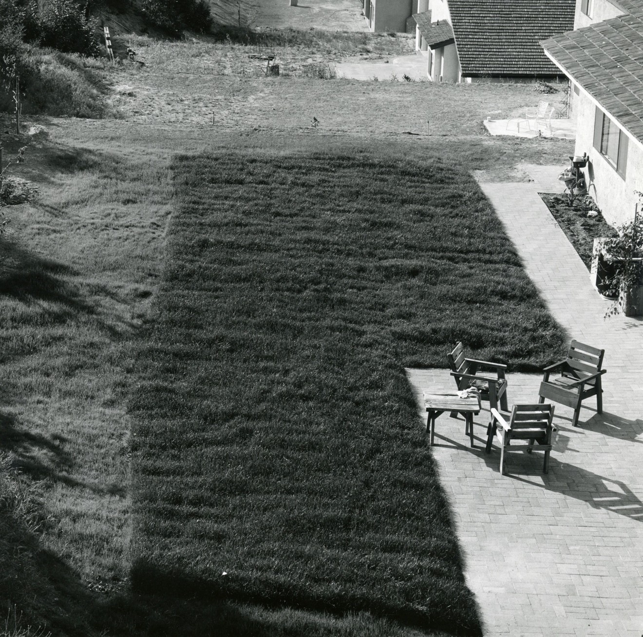 Backyard Diamond Bar, 1980