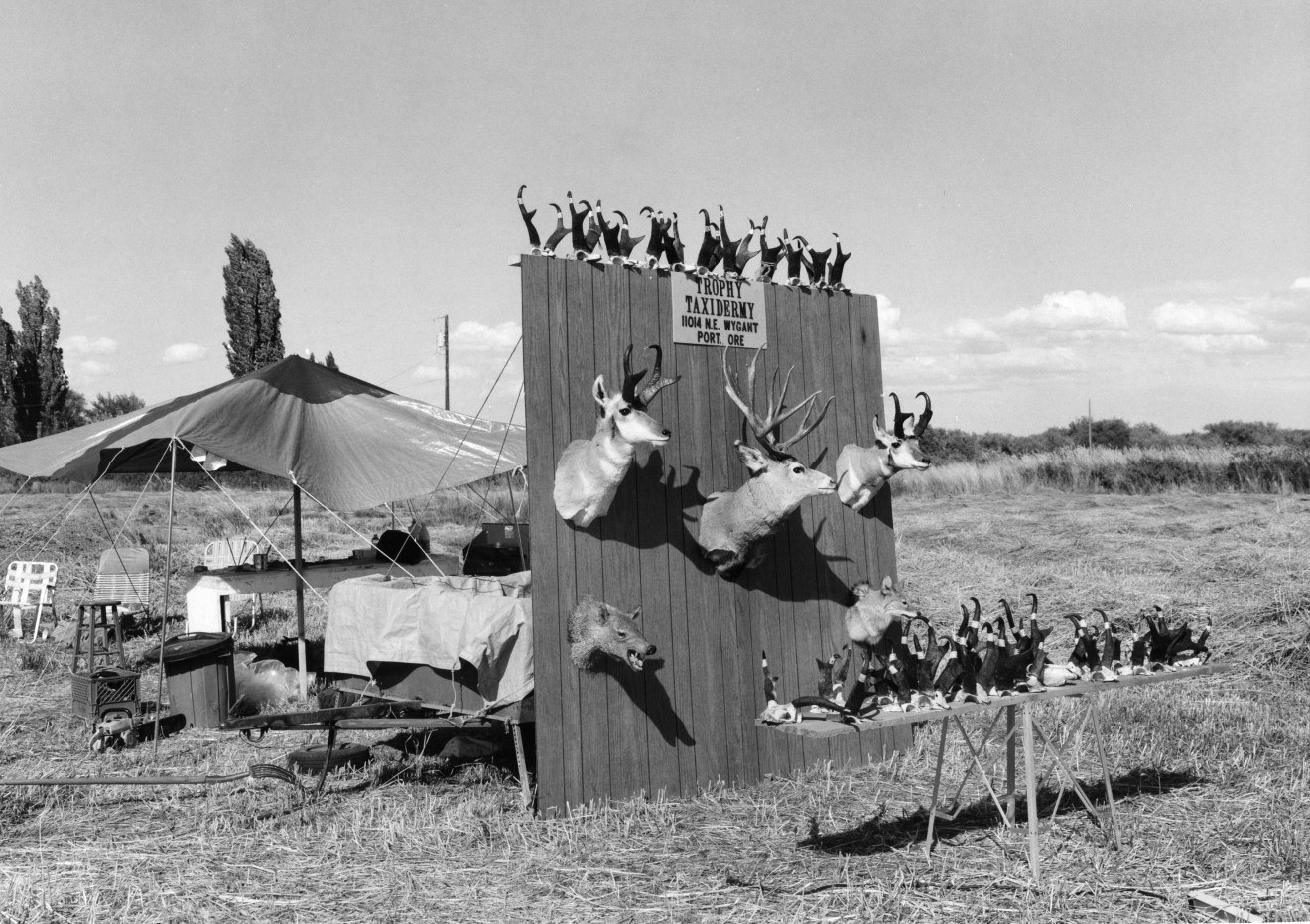 Near Burns, Oregon, 1984