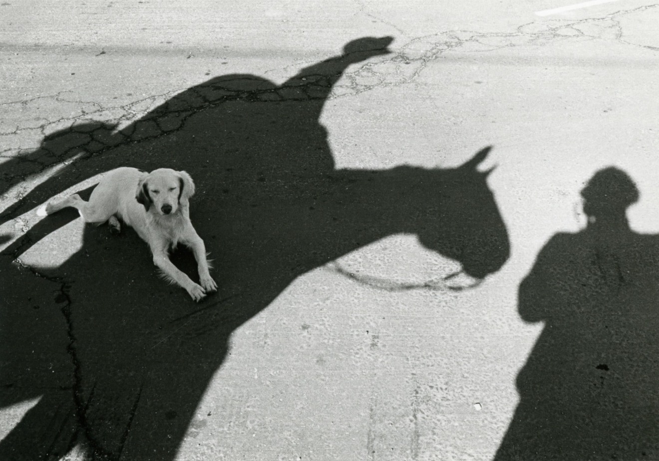 untitled (from the&nbsp;Los Angeles&nbsp;series), 1970/80&#039;s&nbsp;