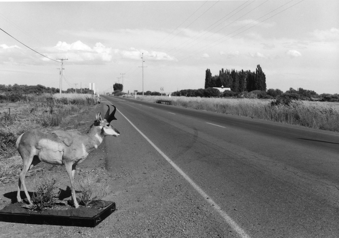 Near Burns, Oregon, 1984