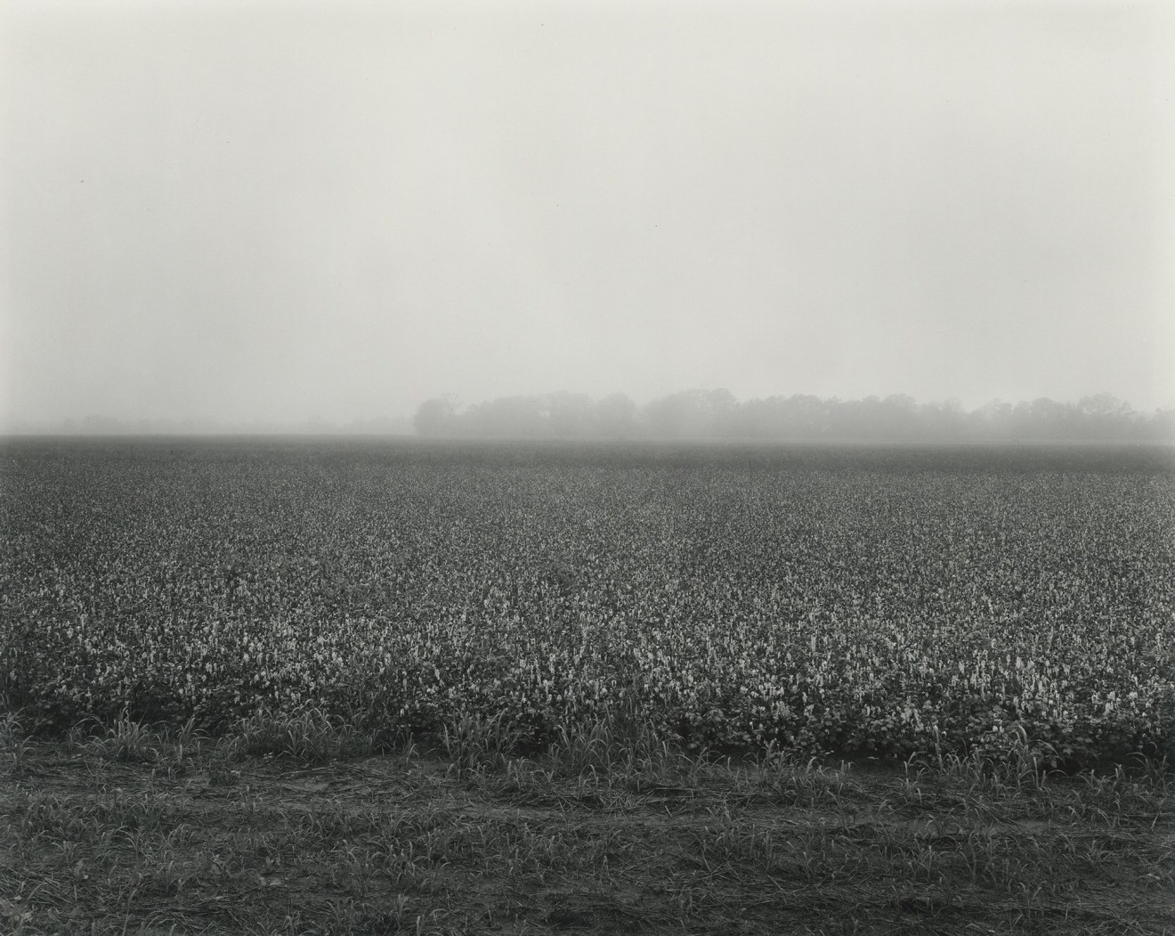 Vicksburg, Mississippi, 1984