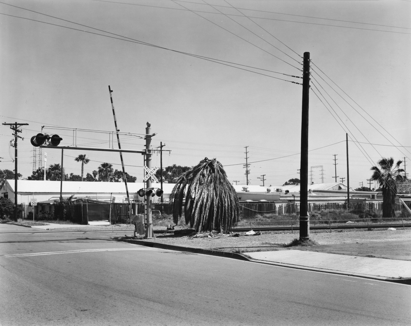 Michael Mulno, Railway Landscape, National City, CA