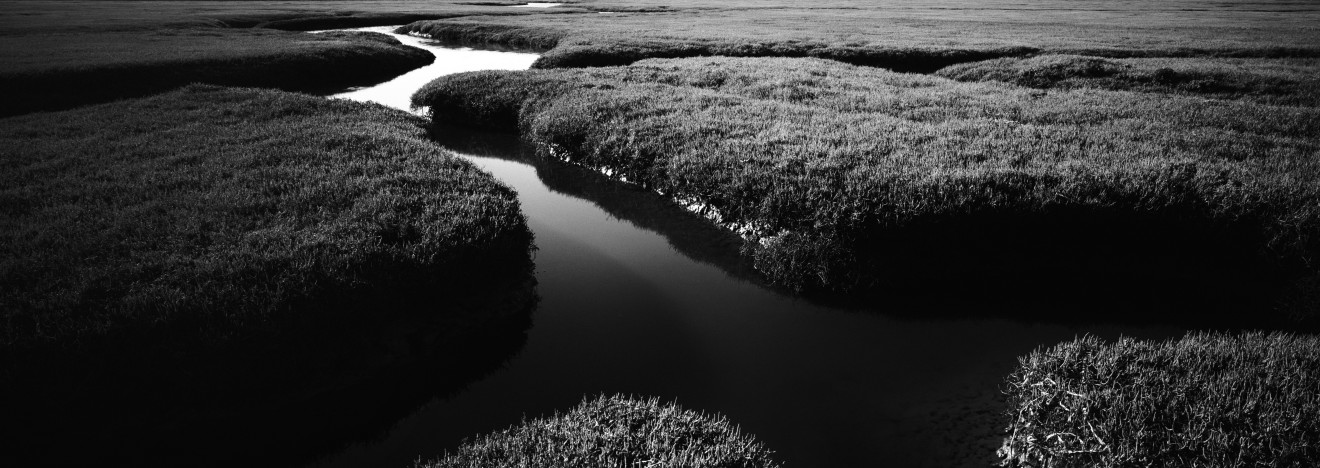 Drake&rsquo;s Estero State Marine Conservation Area, 2013