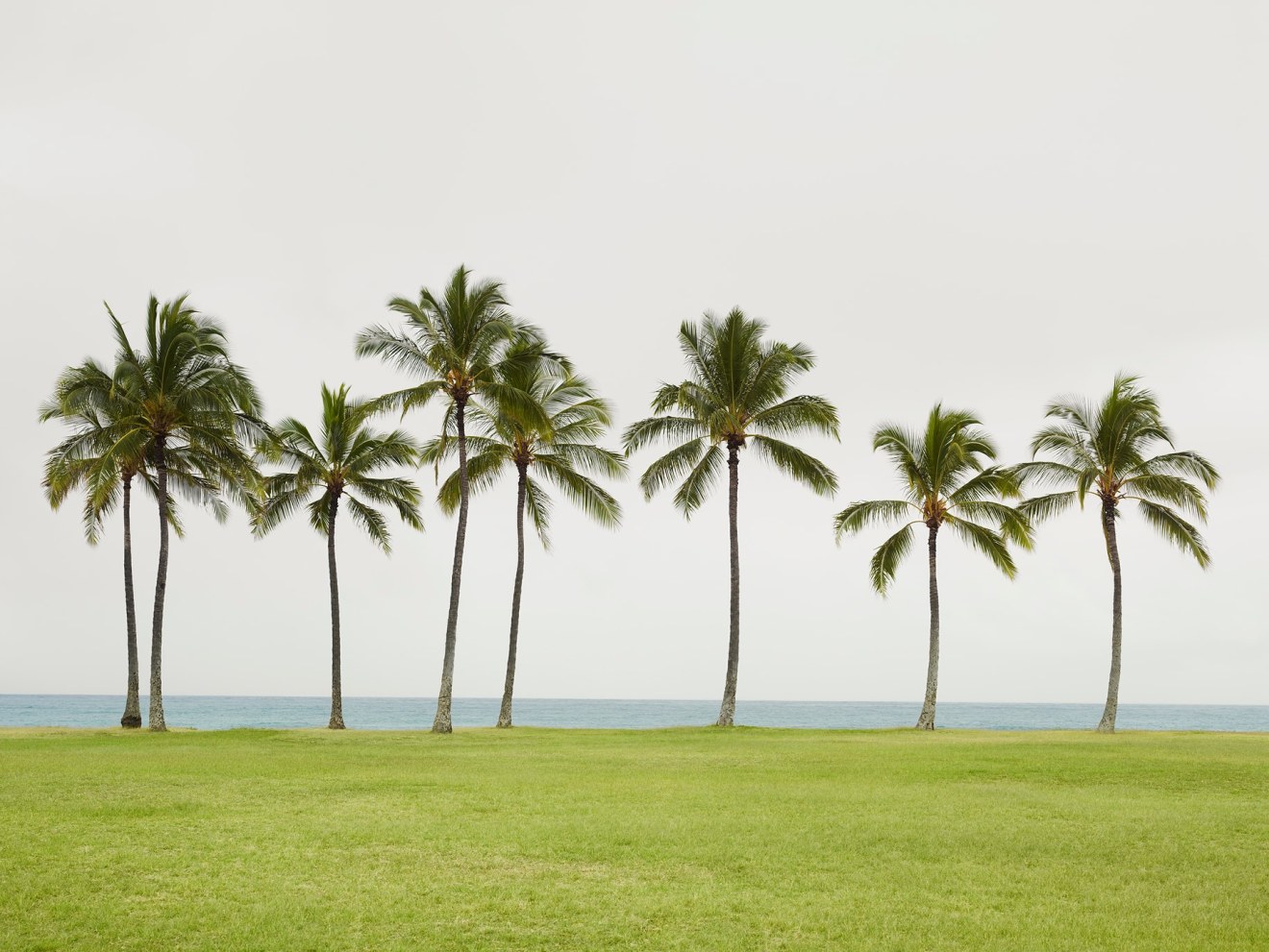 Beach Park Hawaii, 2013