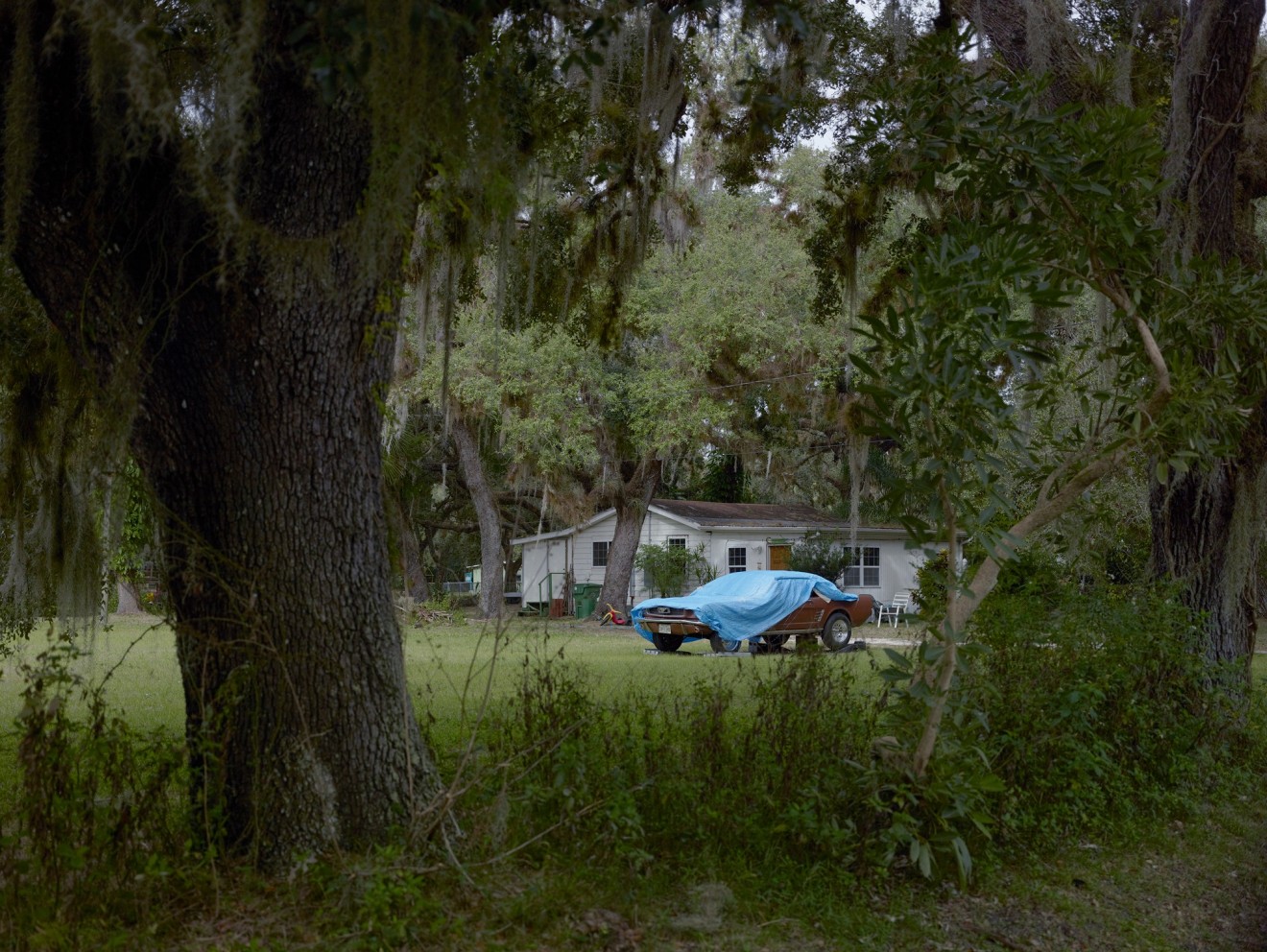 Blue Tarp, Florida, 2014