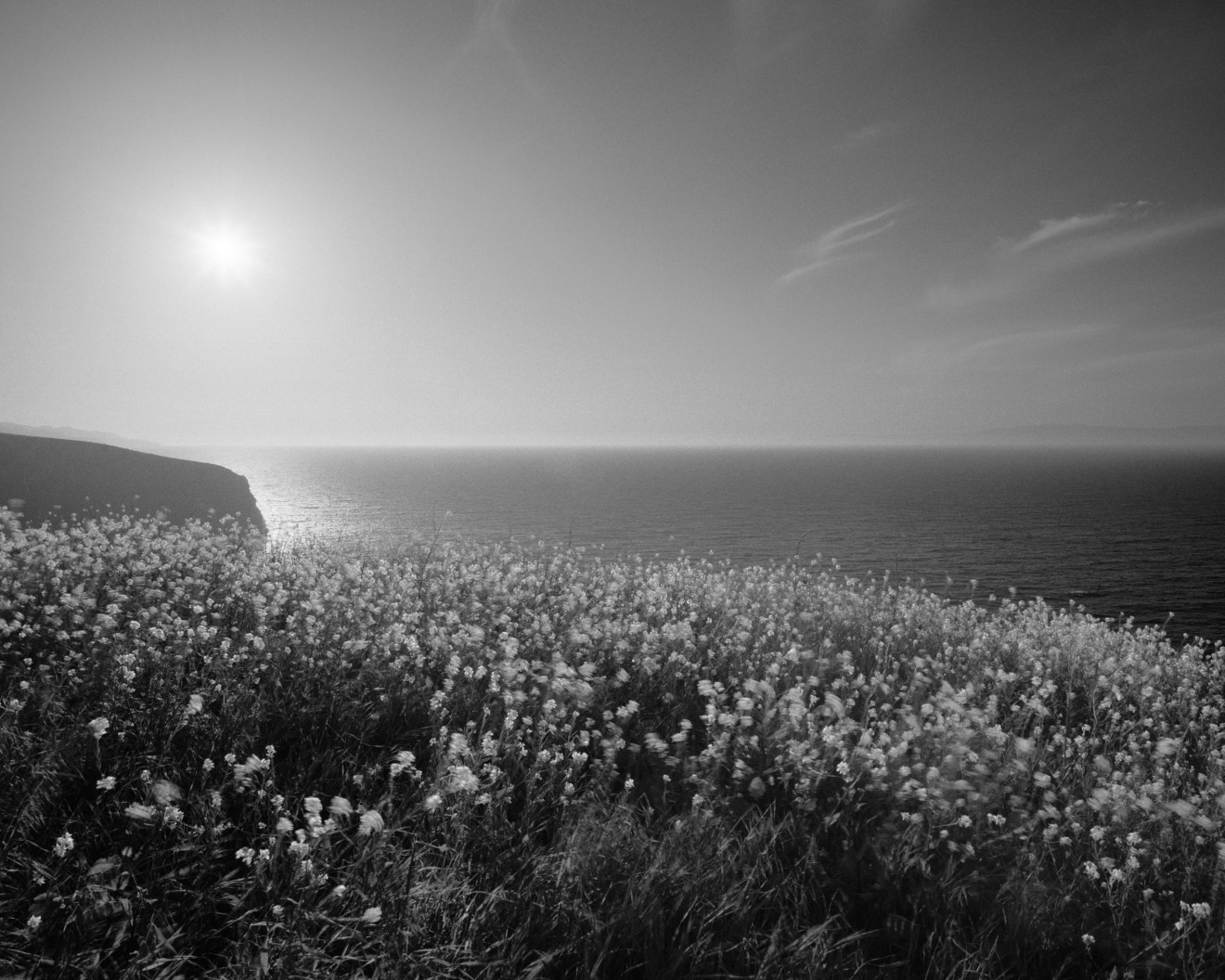 Santa Cruz Island Scorpion State Marine Reserve, 2014