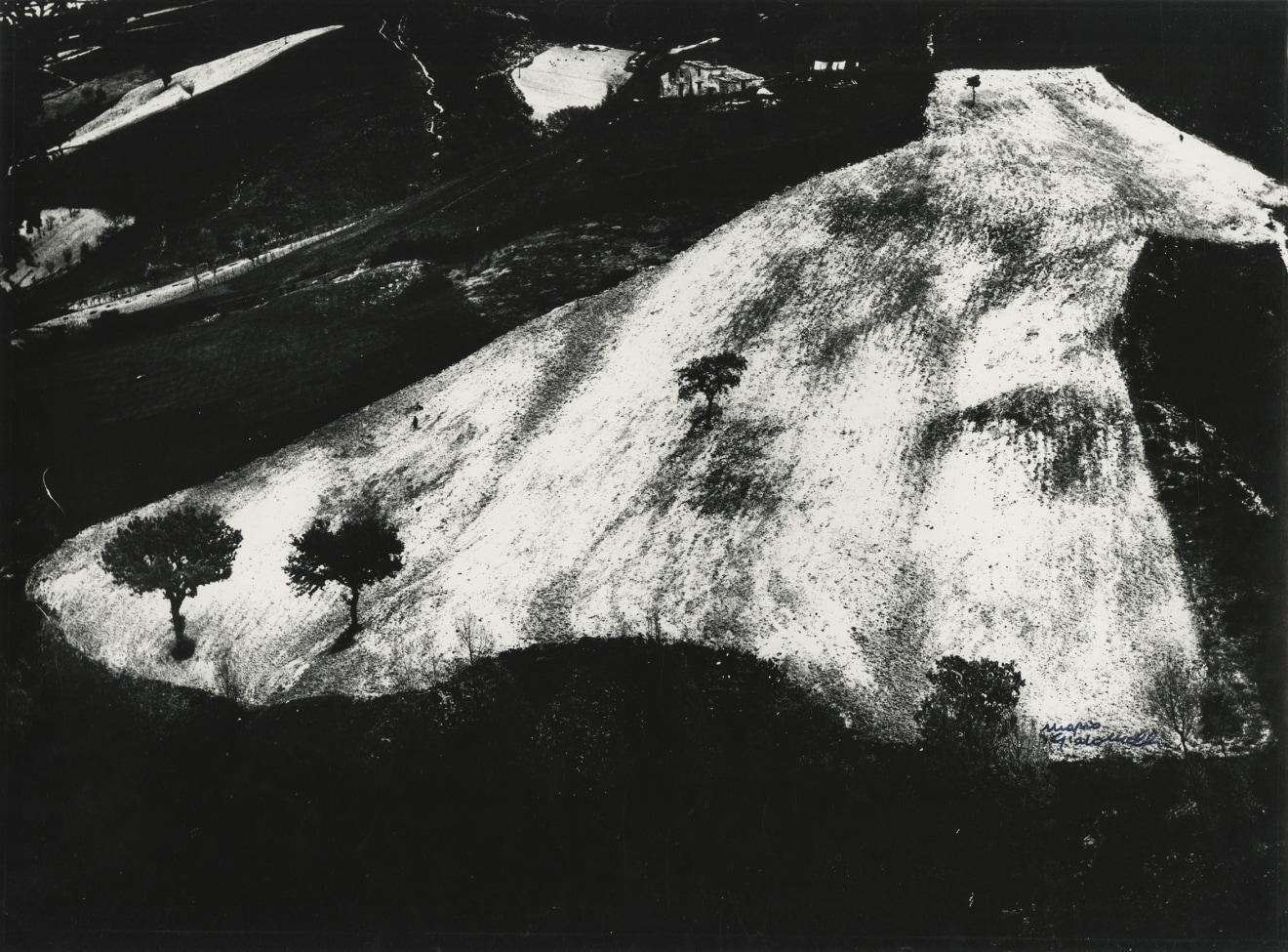 Metamorphosis of the Land/Metamorfosi della terra, 1959