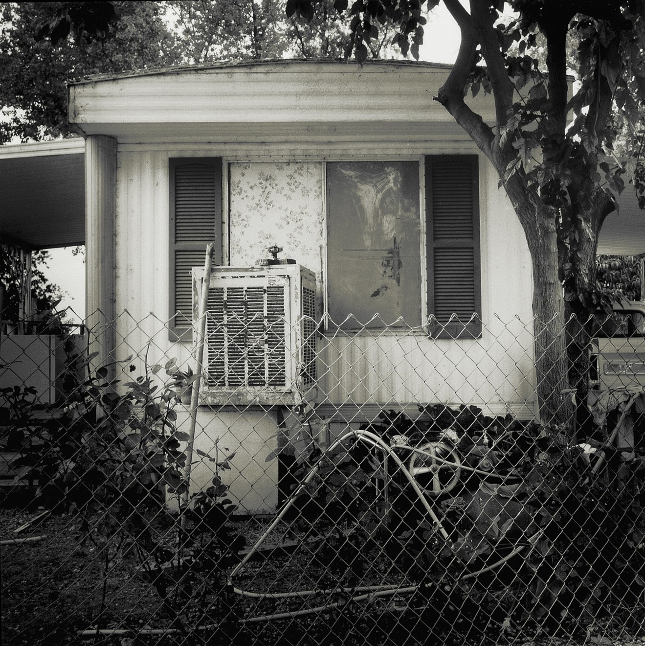 Trailers Collected, 39, 2005