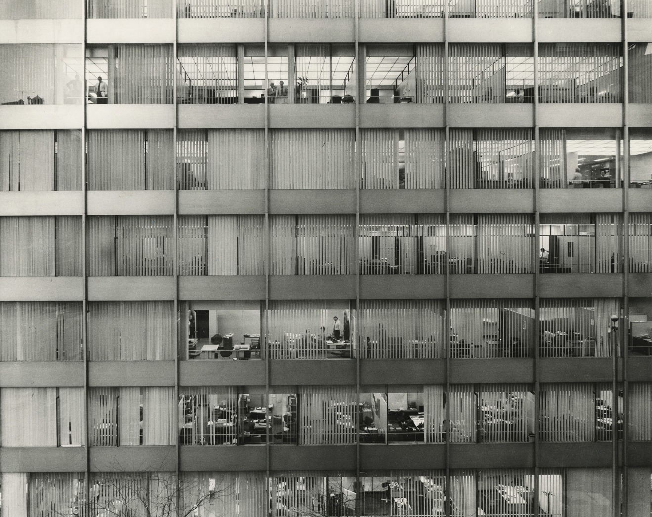 Office Facade #15, 1975