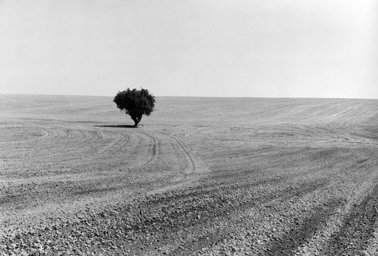 Near Ritzville, Adams County, Washington, 1980