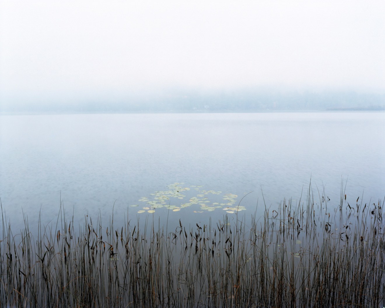 Virginia Beahan, Fog on Post Pond, Lyme, N.H.
