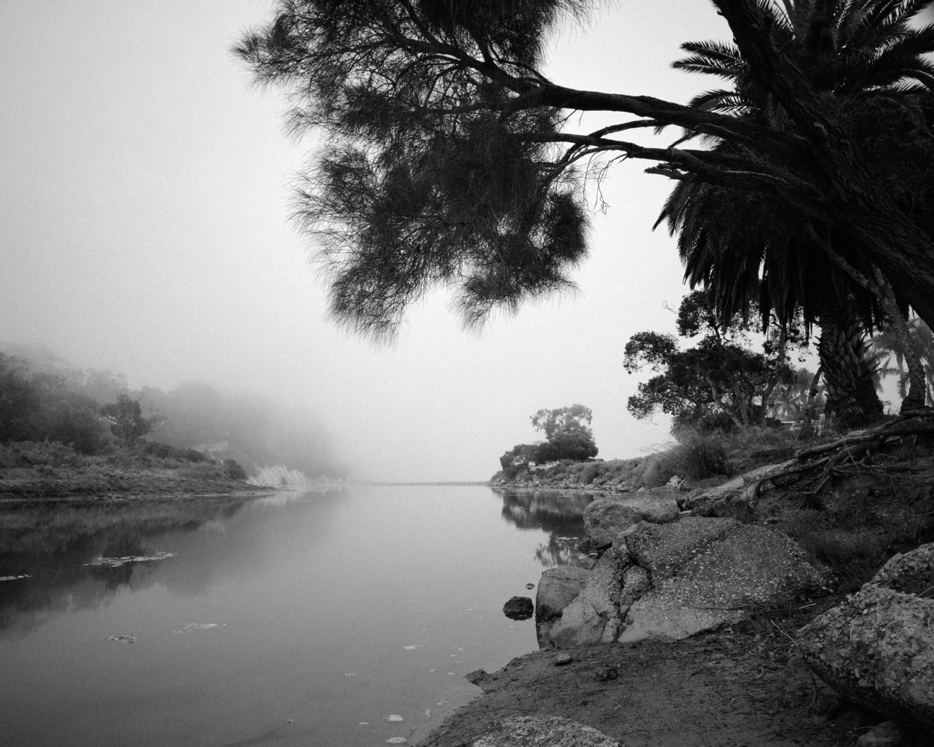 Goleta Slough State Marine Conservation Area, 2014