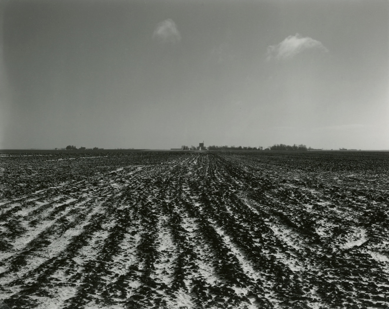 Untitled, from Farm Landscapes, 1987, gelatin silver contact print, 8 x 10 inches