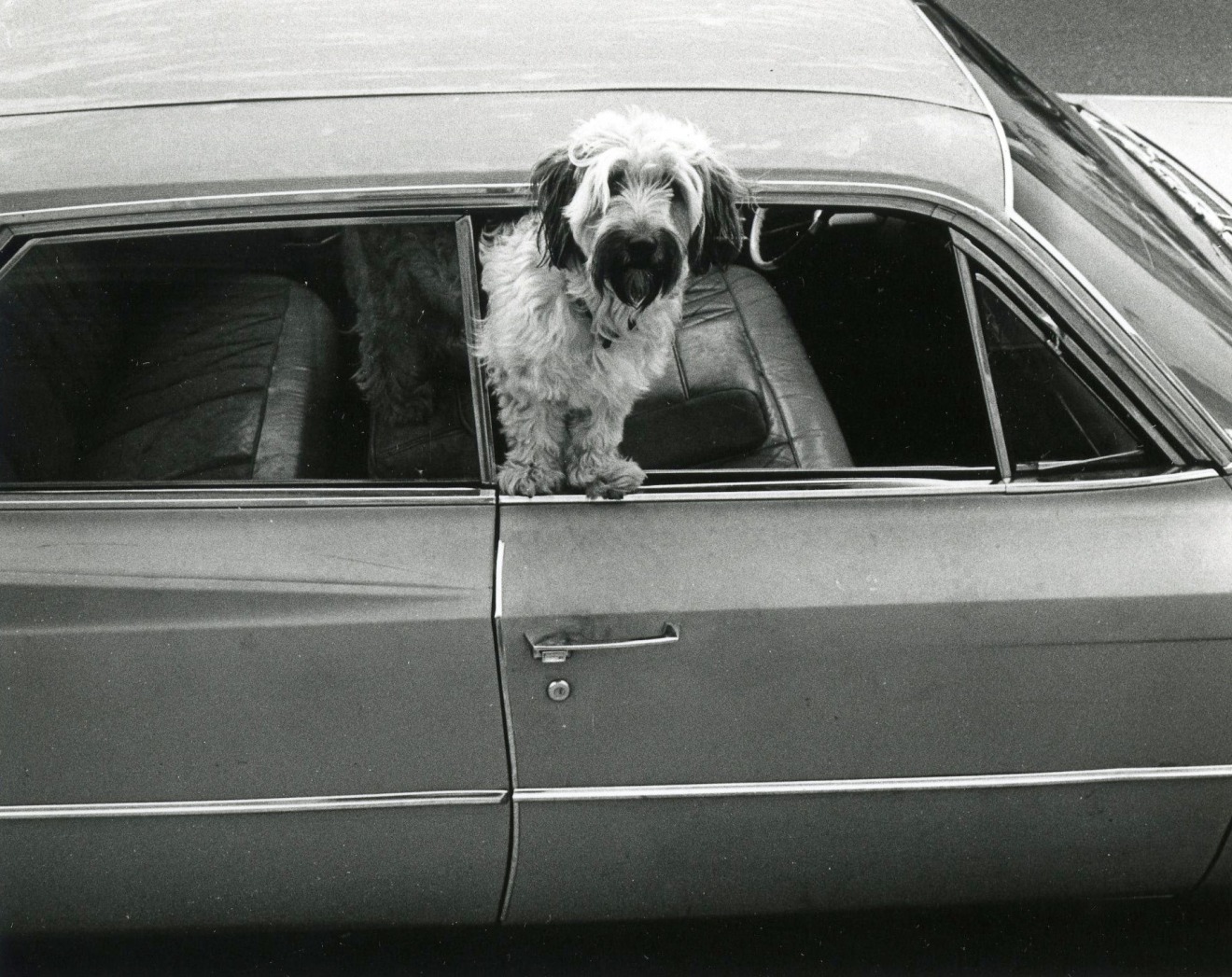 Gary Krueger, Los Angeles