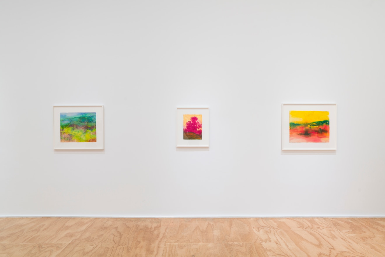 Installation view of &ldquo;Richard Mayhew: Watercolor,&rdquo; Venus Over Manhattan, New York, 2024.