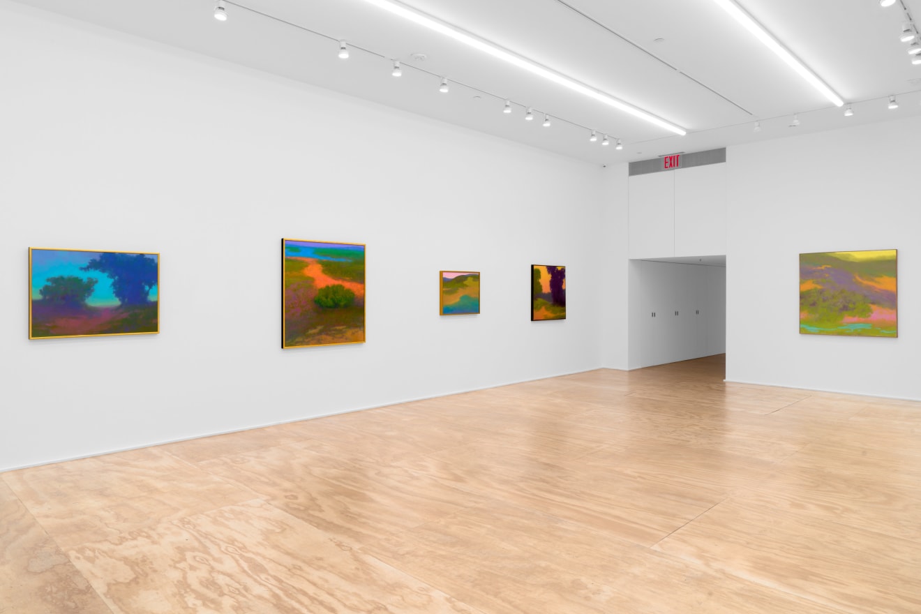 Installation view of &quot;Richard Mayhew: Natural Order,&quot; Venus Over Manhattan, New York, 2023