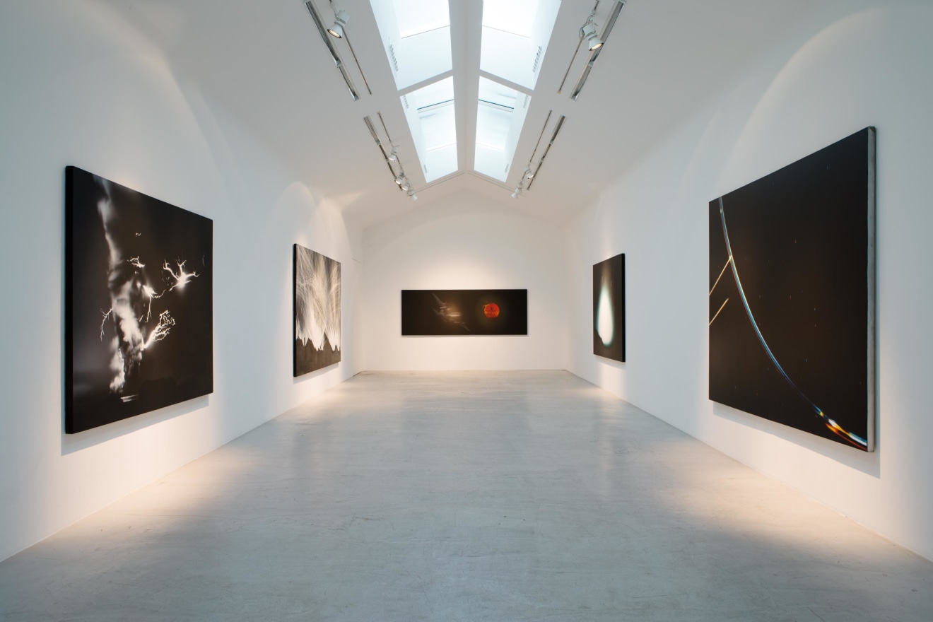 Installation view of O&ugrave; est Jack Goldstein?, curated by Adam Lindemann, Galerie Perrotin, Paris, 2013