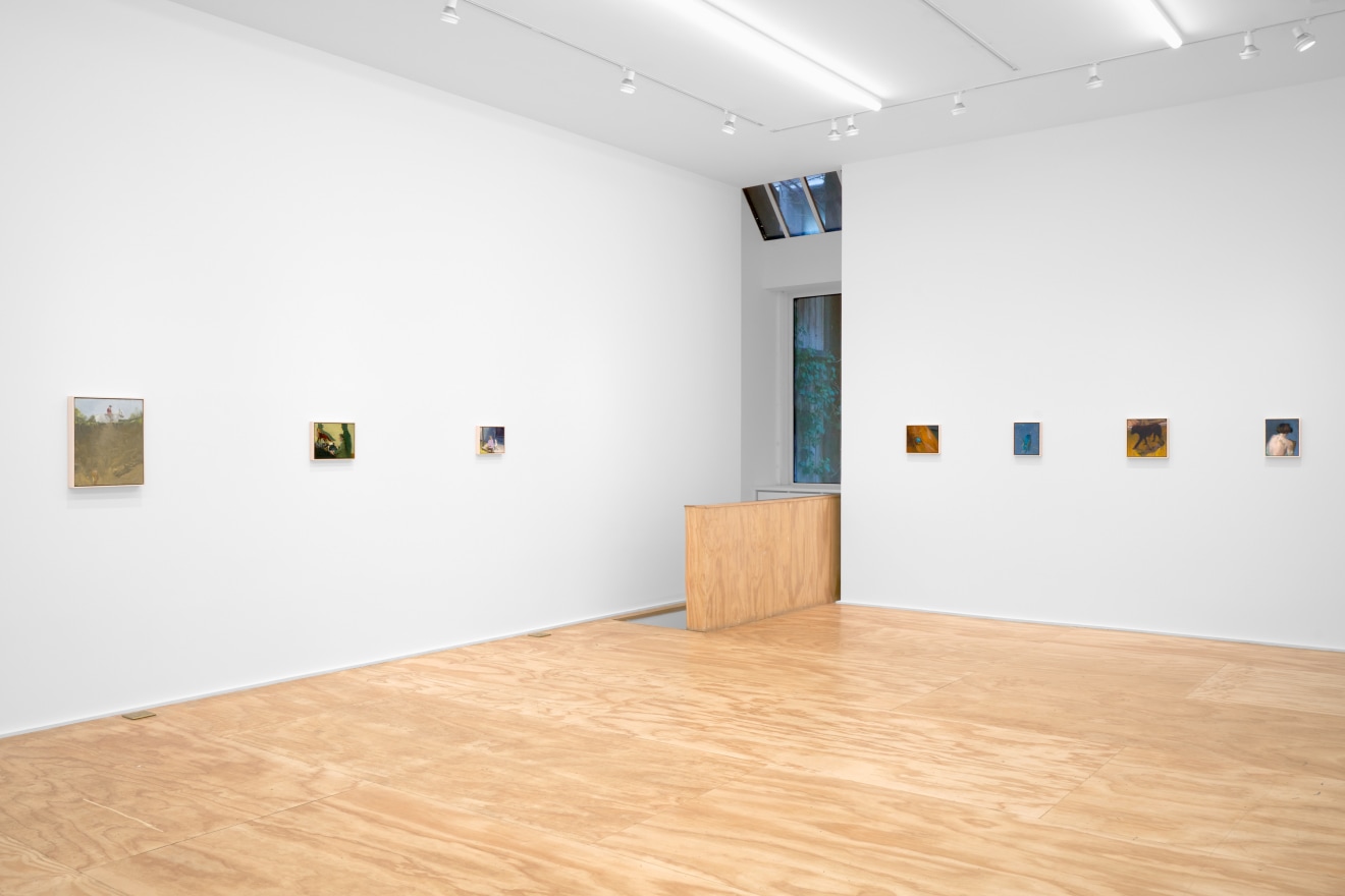 Installation view of Seth Becker's exhibition titled A Boy's Head at Venus Over Manhattan in New York