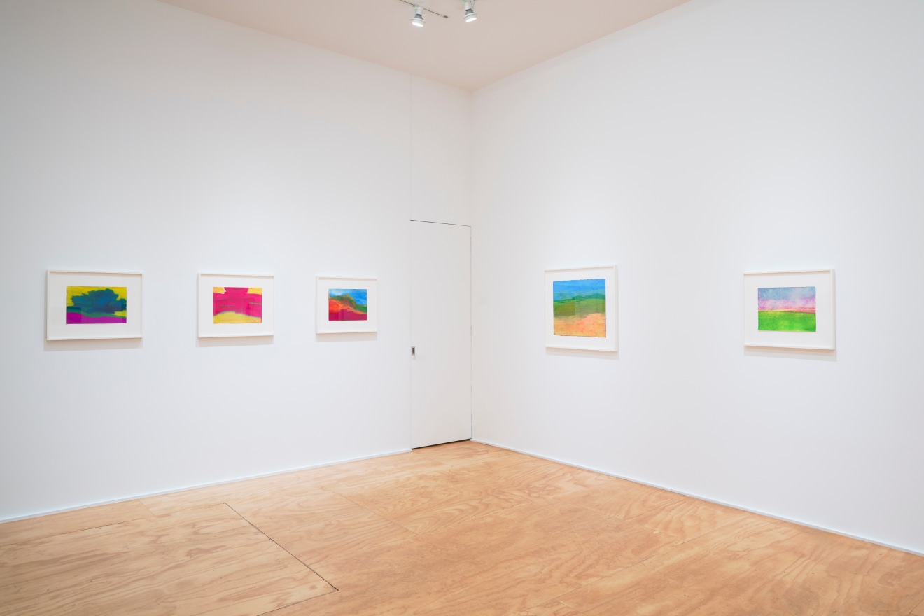 Installation view of &ldquo;Richard Mayhew: Watercolor,&rdquo; Venus Over Manhattan, New York, 2024.