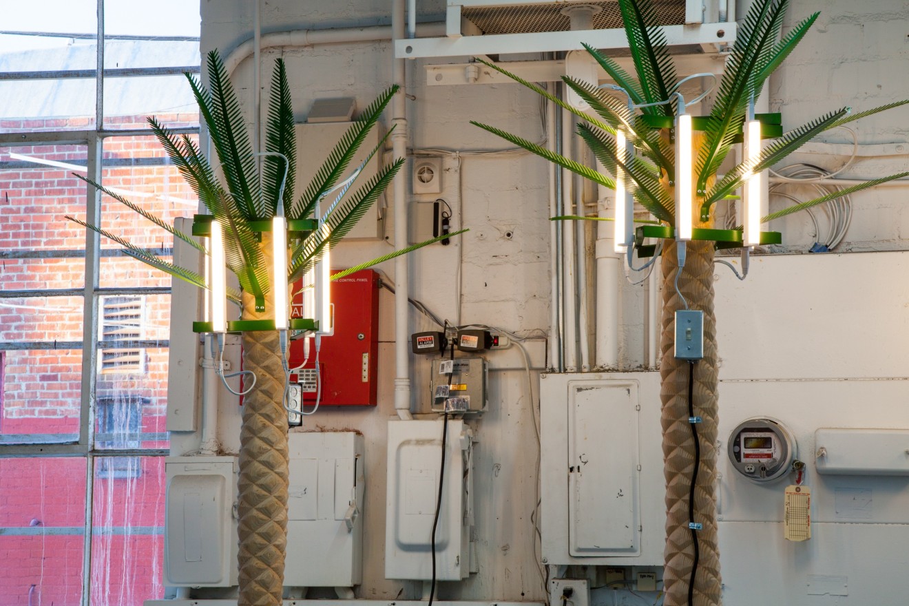 Installation view of Concrete Island, Los Angeles, Venus Over Los Angeles, 2017