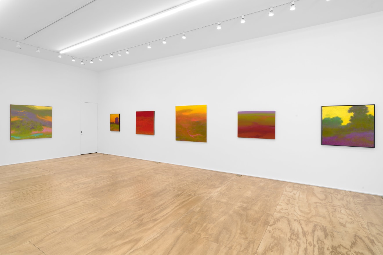 Installation view of &quot;Richard Mayhew: Natural Order,&quot; Venus Over Manhattan, New York, 2023