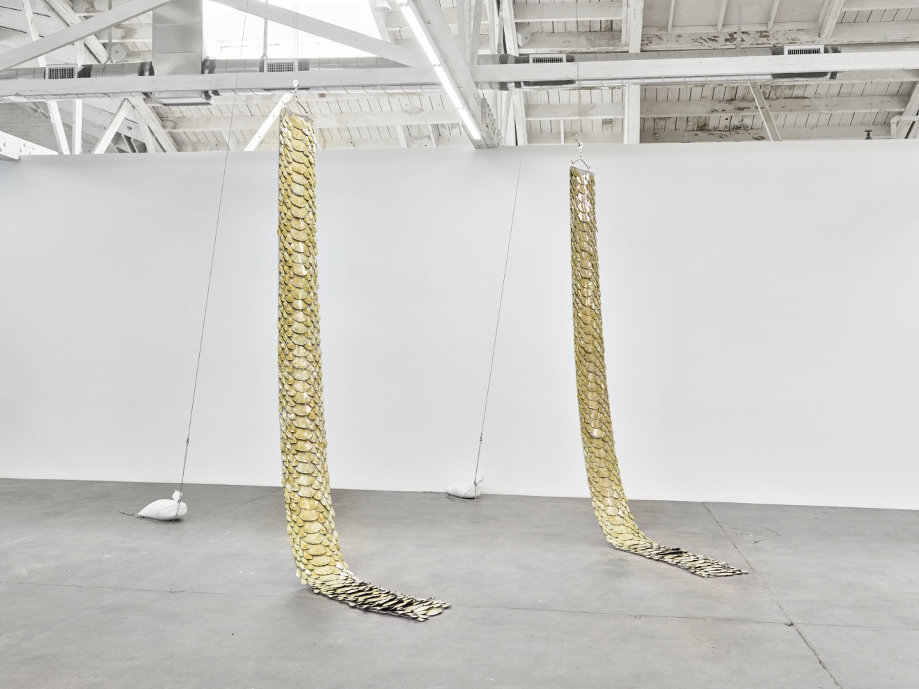 Installation view of snake with sexual interest in own tail, Los Angeles, Venus Over Los Angeles, 2016