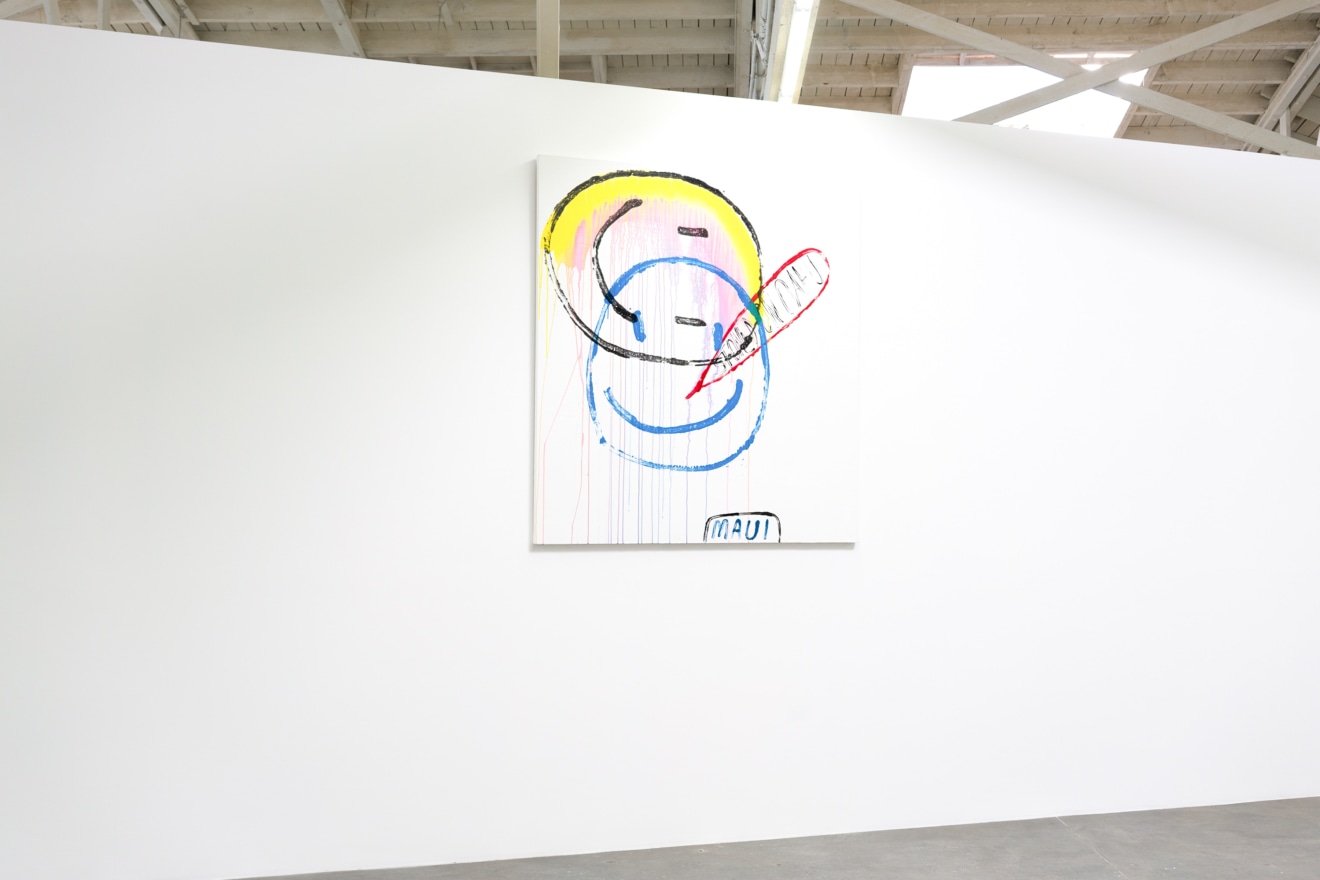 Installation view of Dan McCarthy, Los Angeles, Venus Over Los Angeles, 2015