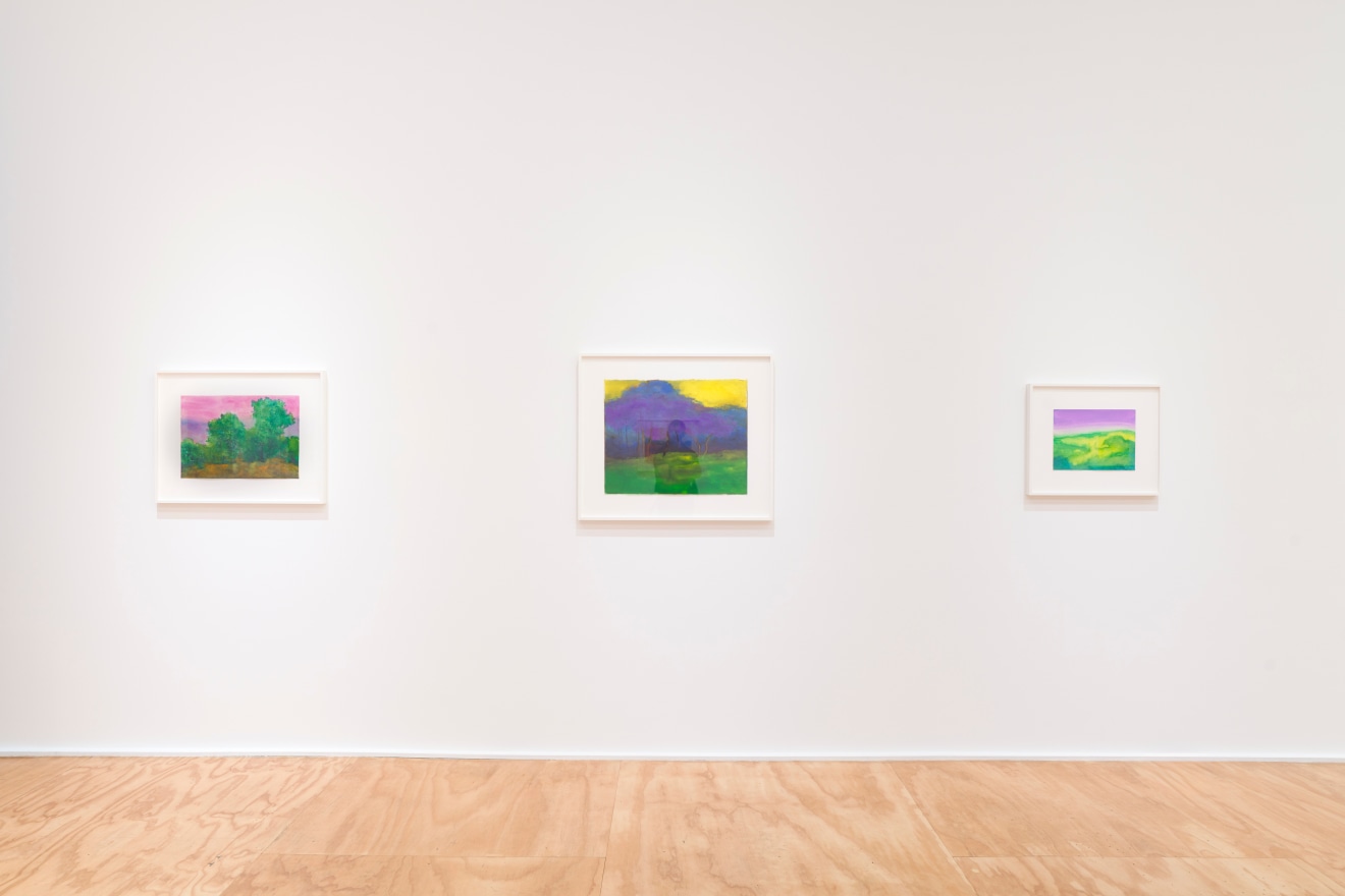 Installation view of &ldquo;Richard Mayhew: Watercolor,&rdquo; Venus Over Manhattan, New York, 2024.