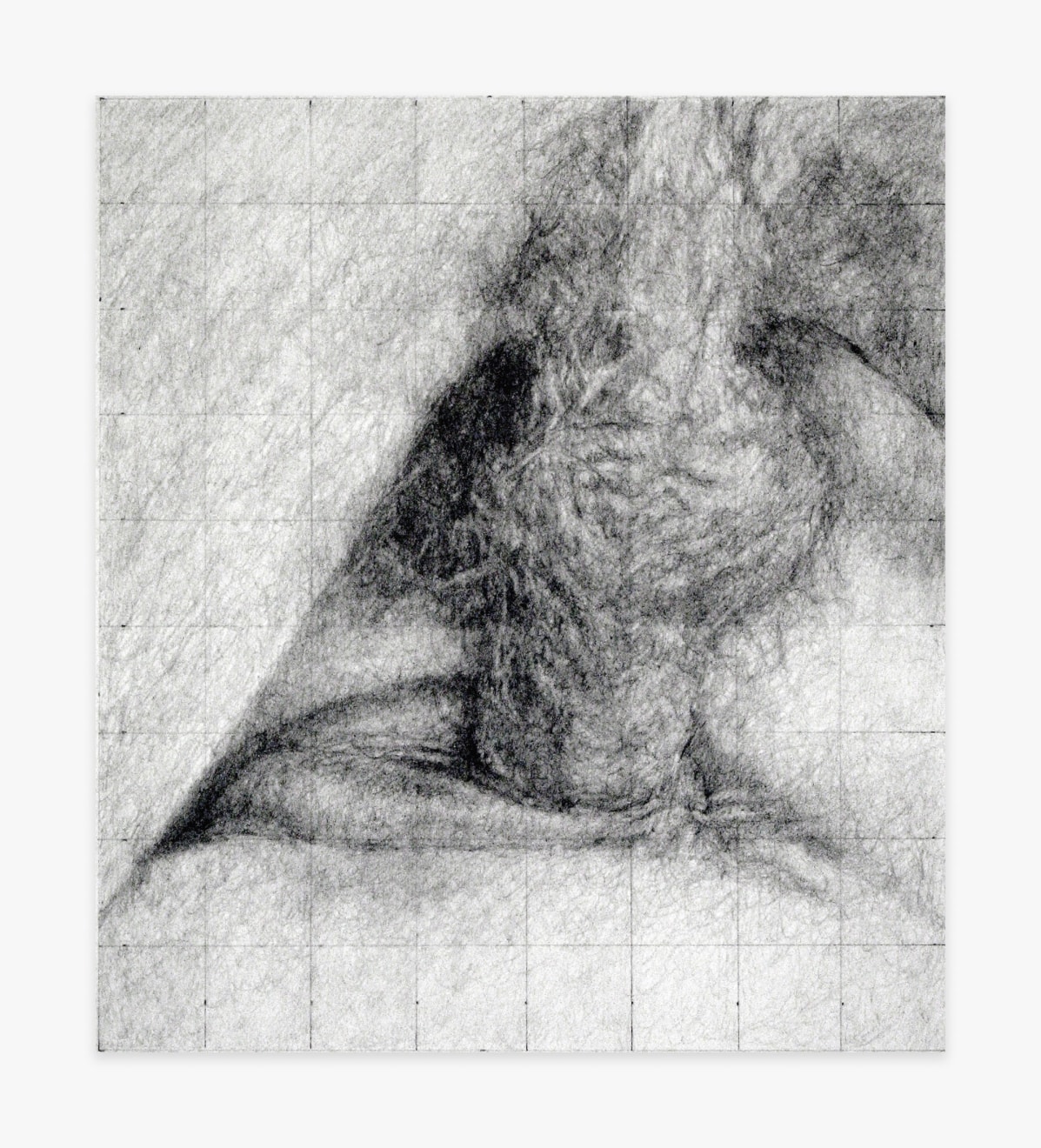 Betty Tompkins Fuck Grid #39