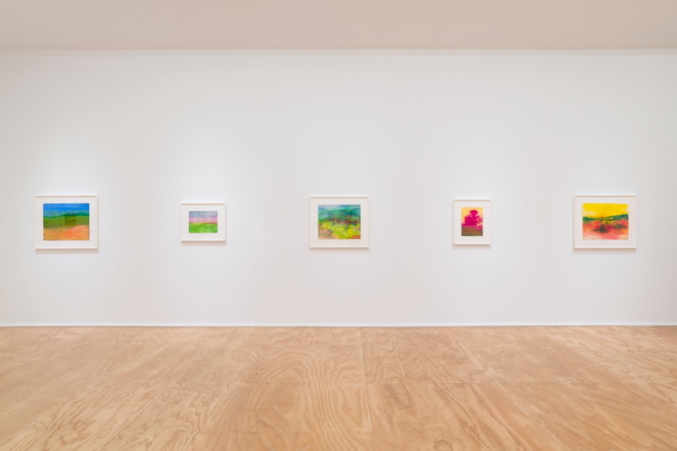 Installation view of &ldquo;Richard Mayhew: Watercolor,&rdquo; Venus Over Manhattan, New York, 2024.