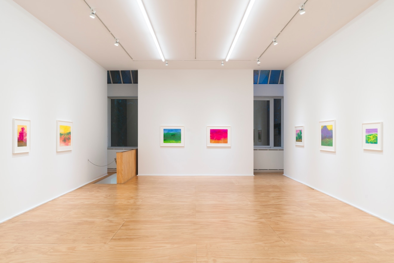 Installation view of &ldquo;Richard Mayhew: Watercolor,&rdquo; Venus Over Manhattan, New York, 2024.