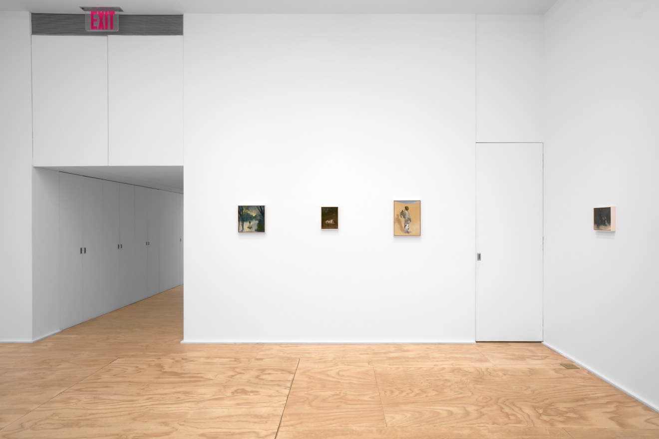 Installation view of Seth Becker's exhibition titled A Boy's Head at Venus Over Manhattan in New York