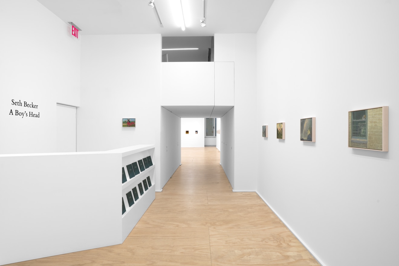 Installation view of Seth Becker's exhibition titled A Boy's Head at Venus Over Manhattan in New York