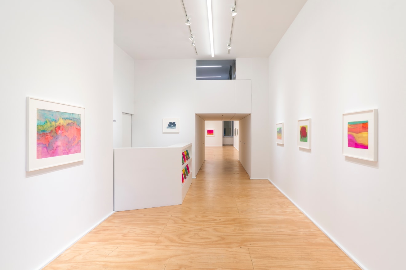 Installation view of &ldquo;Richard Mayhew: Watercolor,&rdquo; Venus Over Manhattan, New York, 2024.