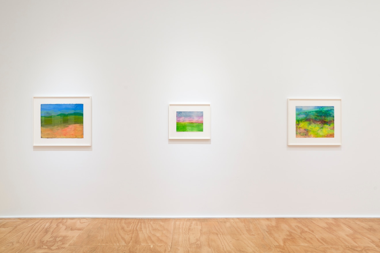 Installation view of &ldquo;Richard Mayhew: Watercolor,&rdquo; Venus Over Manhattan, New York, 2024.