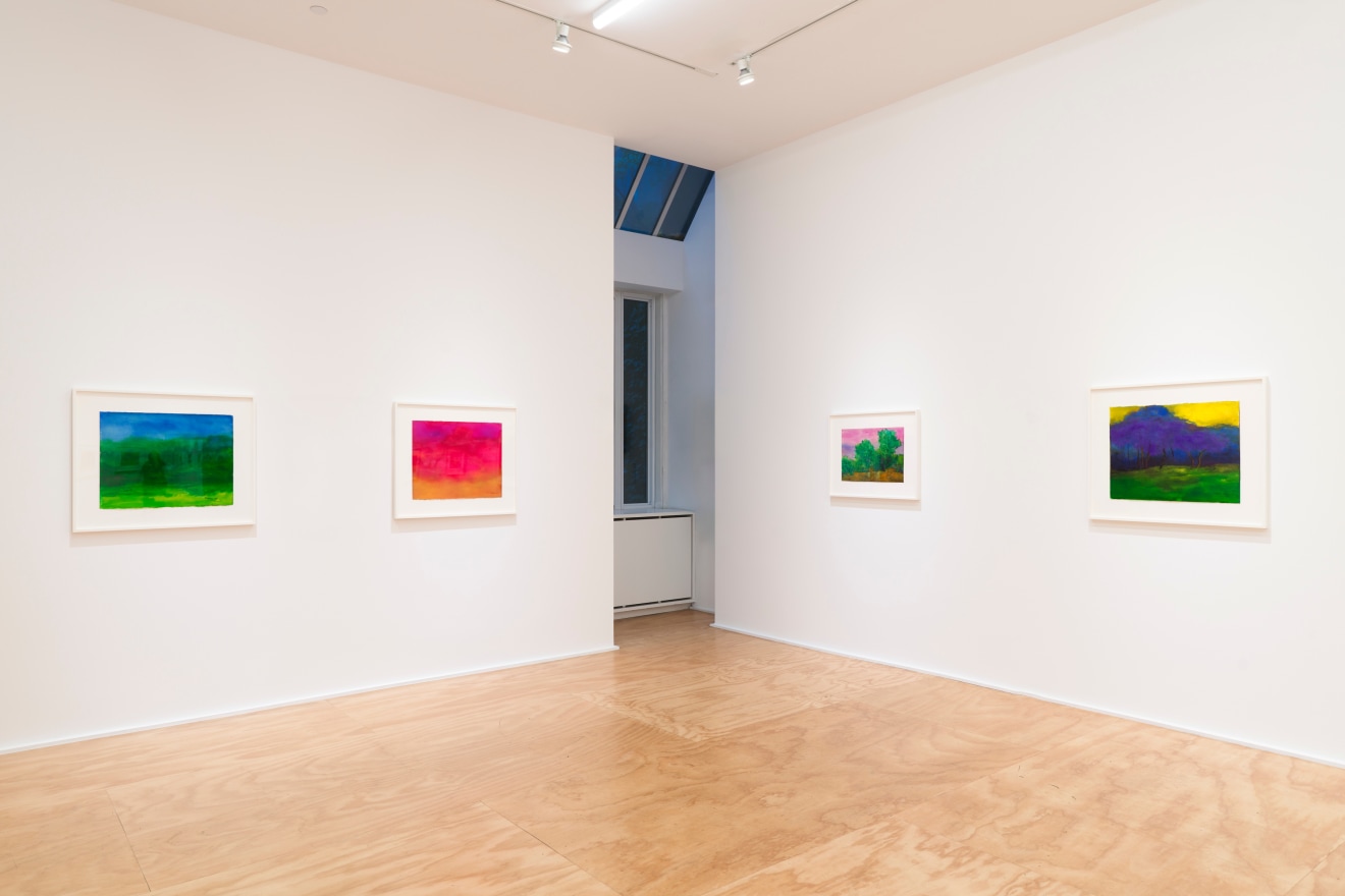 Installation view of &ldquo;Richard Mayhew: Watercolor,&rdquo; Venus Over Manhattan, New York, 2024.