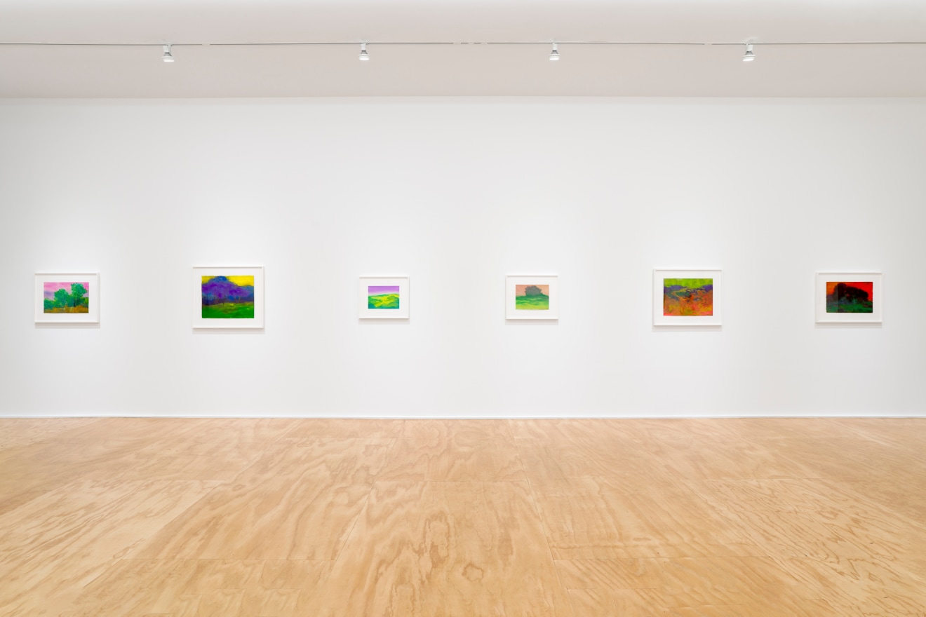 Installation view of &ldquo;Richard Mayhew: Watercolor,&rdquo; Venus Over Manhattan, New York, 2024.