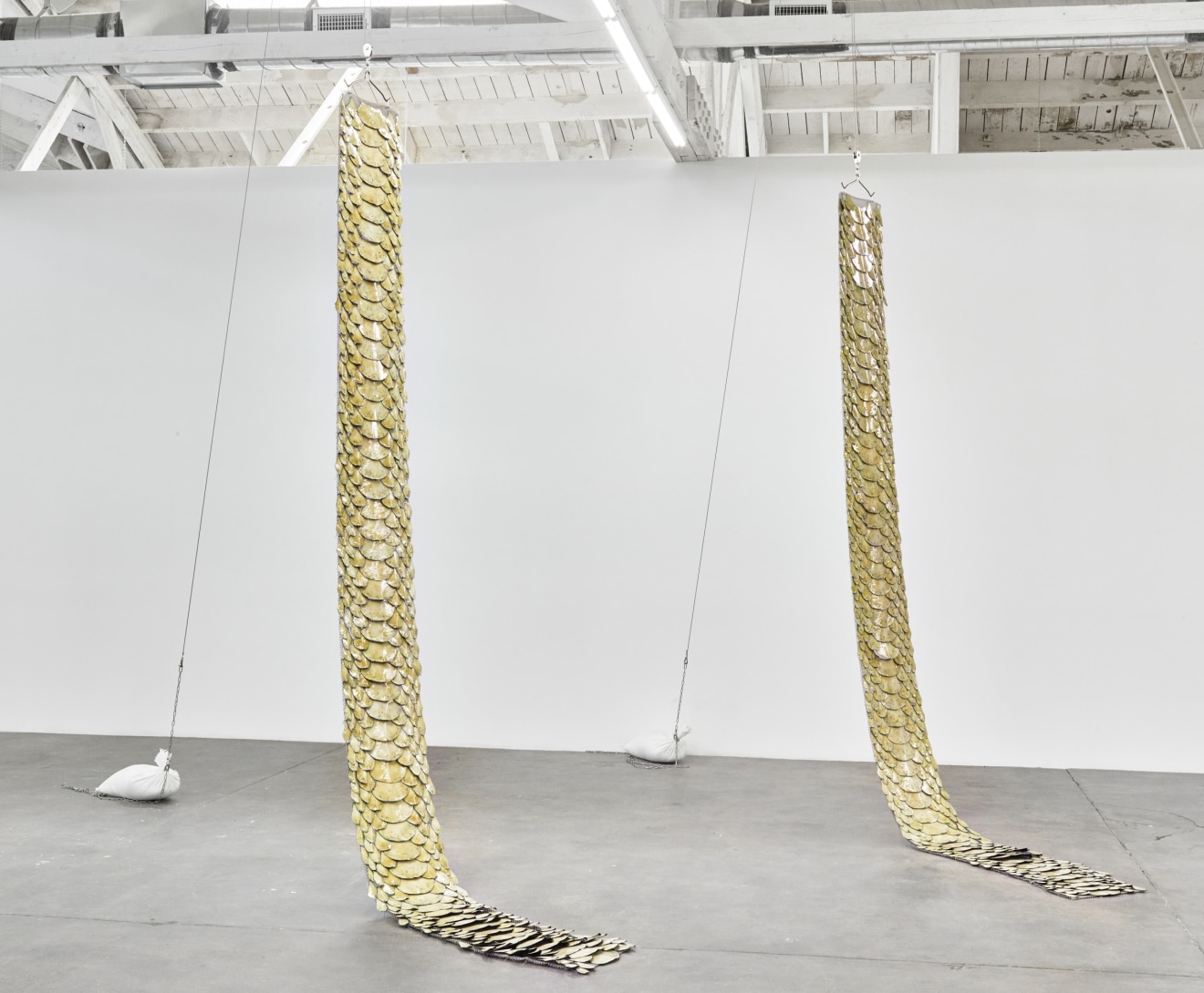 Installation view of snake with sexual interest in own tail, Los Angeles, Venus Over Los Angeles, 2016