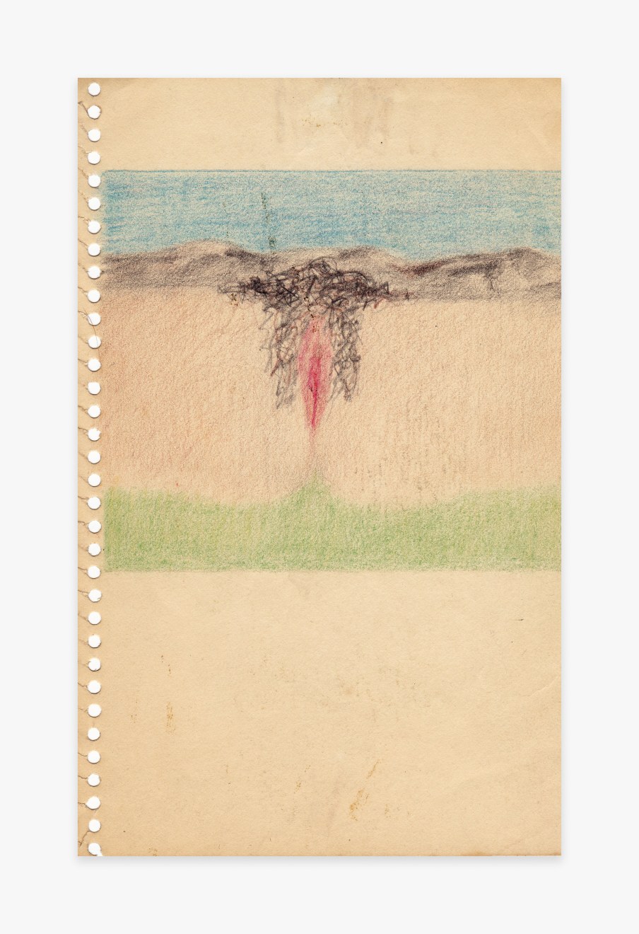 Betty Tompkins Cunt Landscape