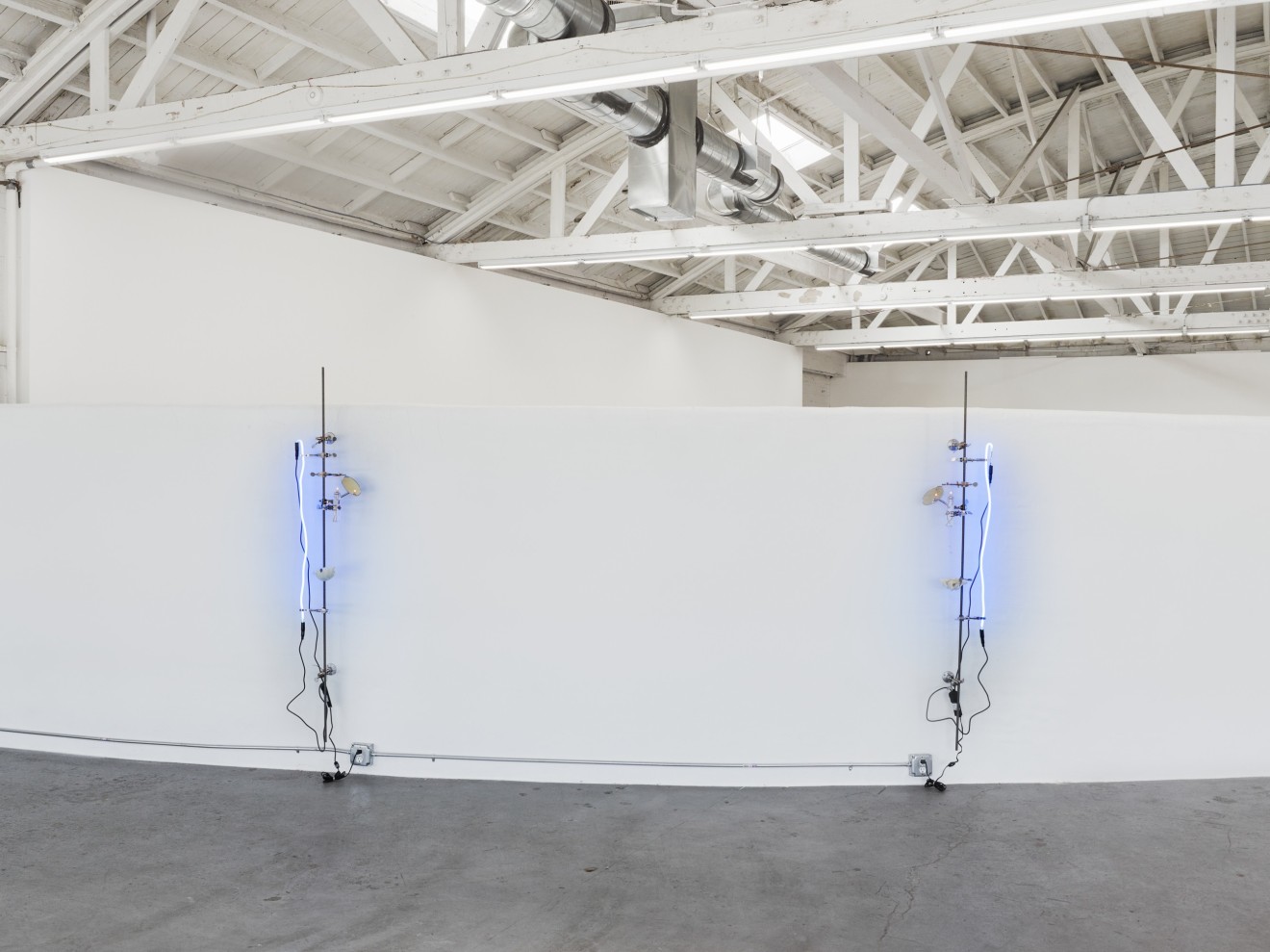 Installation view of snake with sexual interest in own tail, Los Angeles, Venus Over Los Angeles, 2016