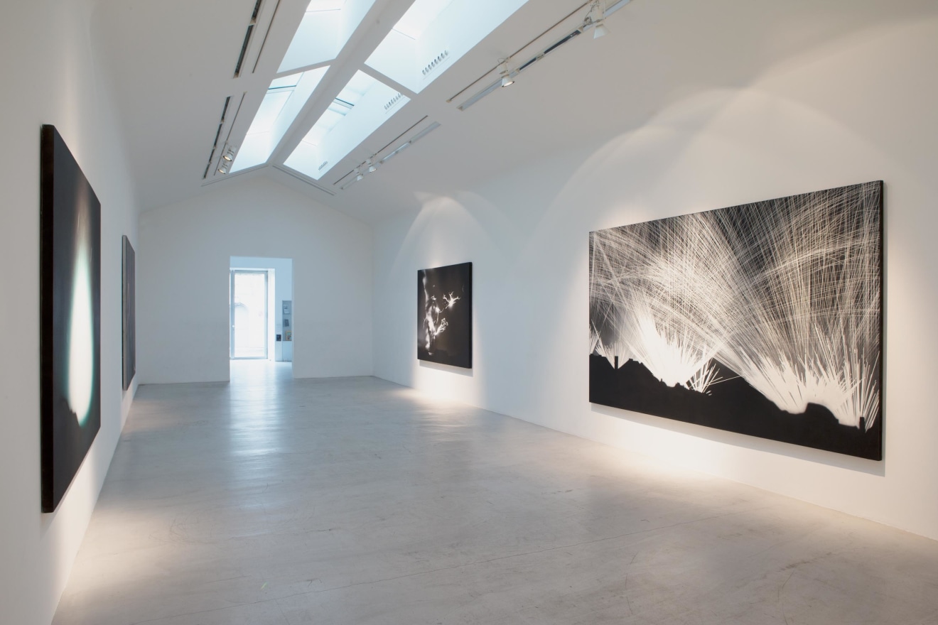 Installation view of O&ugrave; est Jack Goldstein?, curated by Adam Lindemann, Galerie Perrotin, Paris, 2013