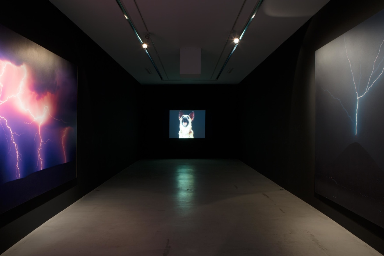 Installation view of O&ugrave; est Jack Goldstein?, curated by Adam Lindemann, Galerie Perrotin, Paris, 2013